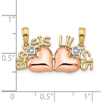 10K Rose & Yellow Gold Big Sis/Lil Sis Break-A-Part Pendant with Rhodium Accents