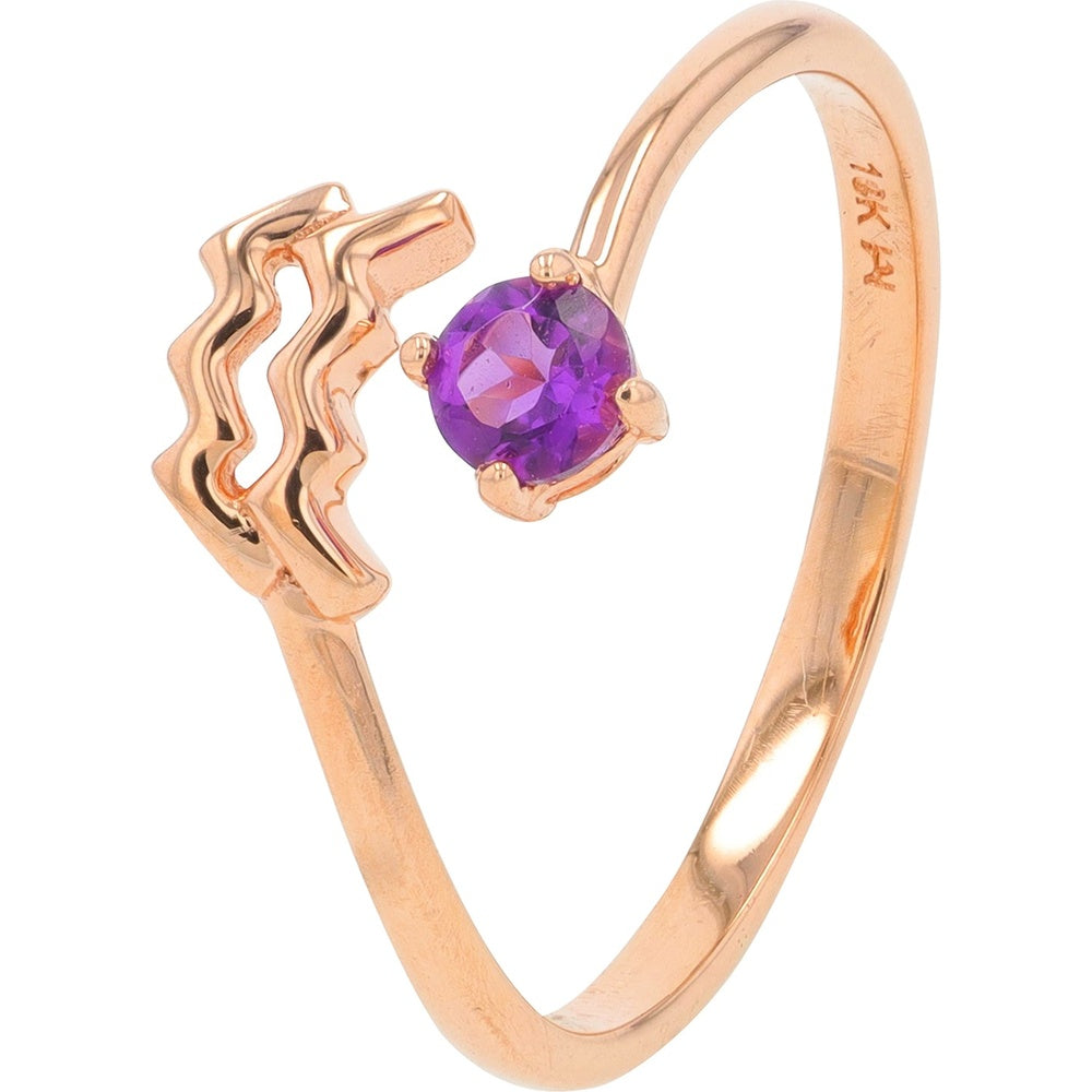 10K Rose Gold Free Form Aquarius Zodiac Ring with Round Amethyst