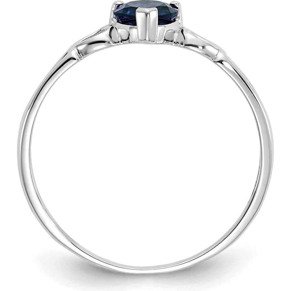 10K White Gold Polished Heart-Shaped Sapphire Birthstone Ring - 0.58 Carat Total Sapphire Weight