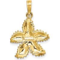 10K Yellow Gold Beaded Starfish Charm Pendant - Polished Finish, 18.4mm Length