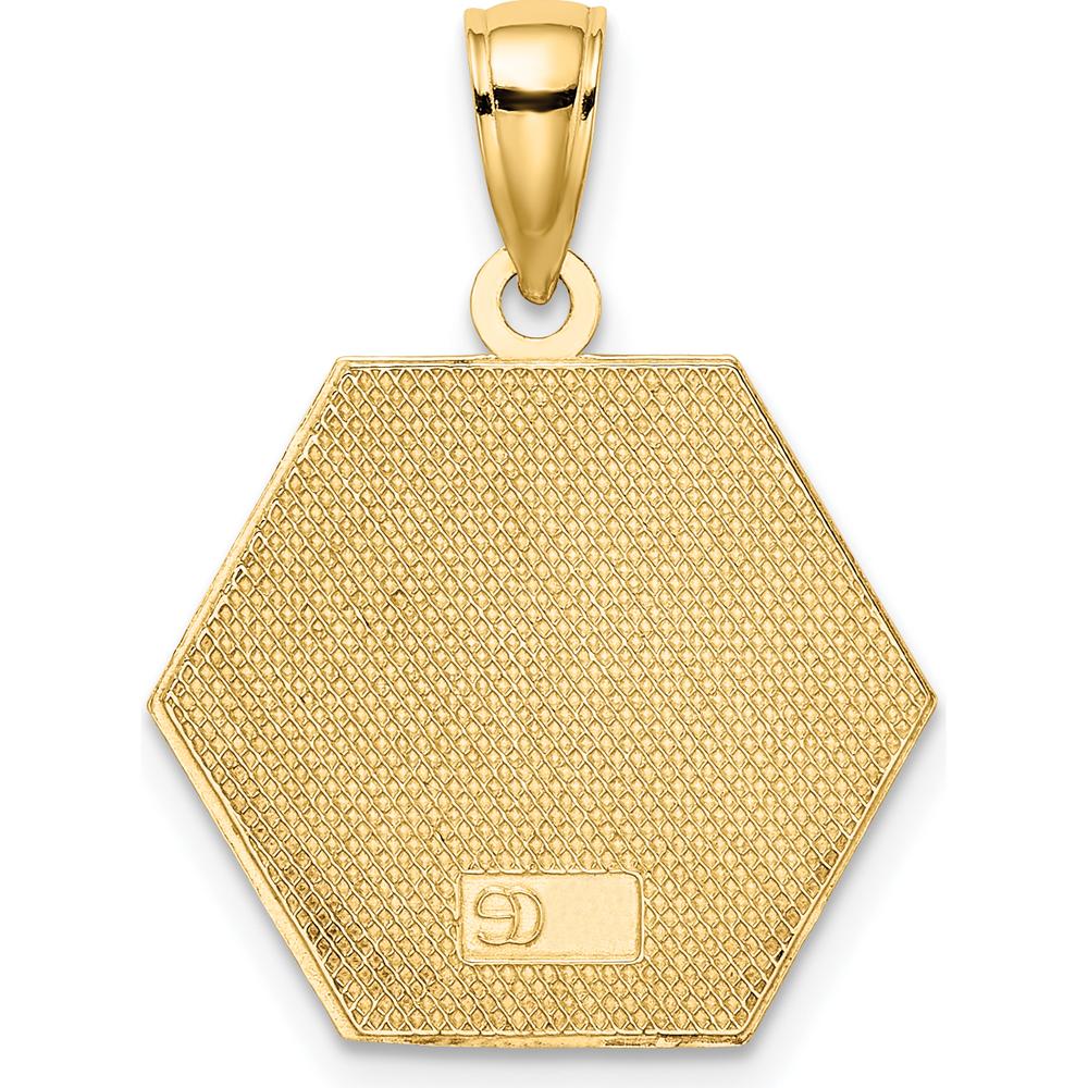 10K Yellow Gold Enameled Medical Disc Pendant with Caduceus - Polished Finish