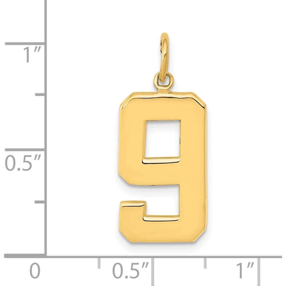 10K Yellow Gold Large Polished Number 9 Charm Pendant