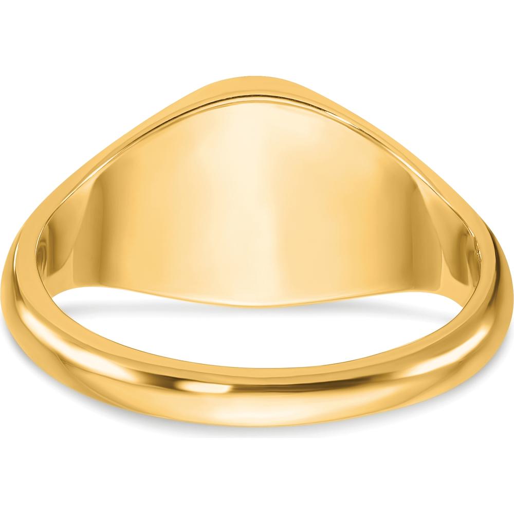10K Yellow Gold Men's Signet Ring with Polished Satin Finish by IBGoodman