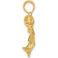 10K Yellow Gold Polished & Textured Bass Fish Pendant Charm - Solid Gold