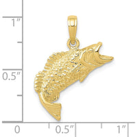 10K Yellow Gold Polished & Textured Bass Fish Pendant Charm - Solid Gold