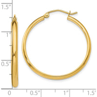 10K Yellow Gold Polished Hoop Earrings - 30mm Length, 31mm Width