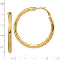 10K Yellow Gold Polished Round Omega Back Hoop Earrings - 50mm Length