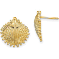 10K Yellow Gold Polished Scallop Shell Button Post Earrings