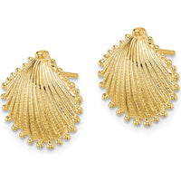 10K Yellow Gold Polished Scallop Shell Button Post Earrings