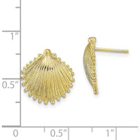 10K Yellow Gold Polished Scallop Shell Button Post Earrings