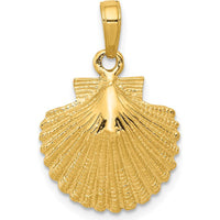 10K Yellow Gold Polished Scallop Shell Pendant - 24mm x 15mm