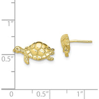 10K Yellow Gold Polished Turtle Post Earrings - Solid Gold