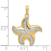 10K Yellow Gold Rhodium Diamond-Cut Starfish Charm Pendant