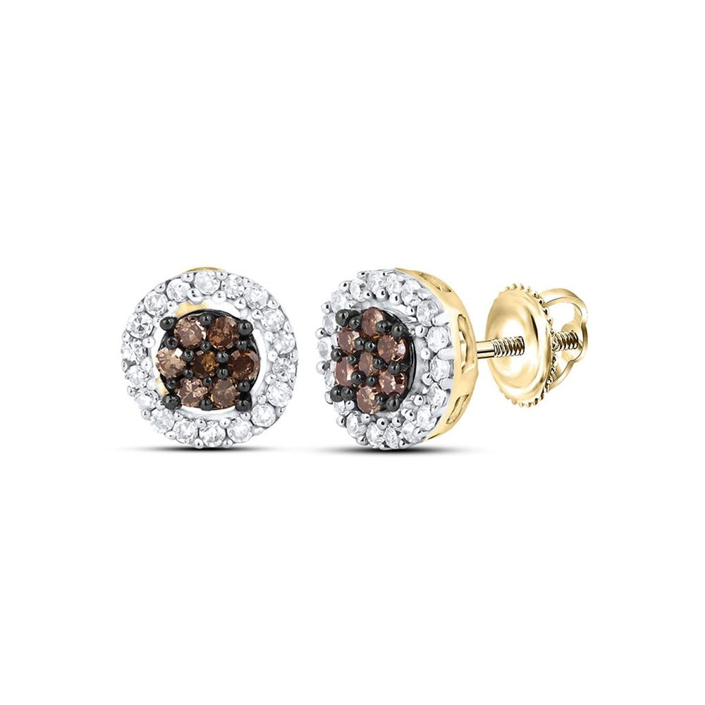 10K Yellow Gold Round Brown and White Diamond Stud Earrings - 1/4 Carat Total Diamond Weight