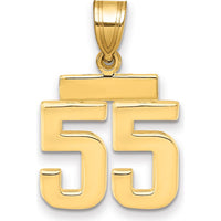 10K Yellow Gold Small Polished Number 55 Charm Pendant