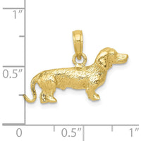 10K Yellow Gold Solid 3-Dimensional Wire Haired Dachshund Dog Charm - Polished Finish