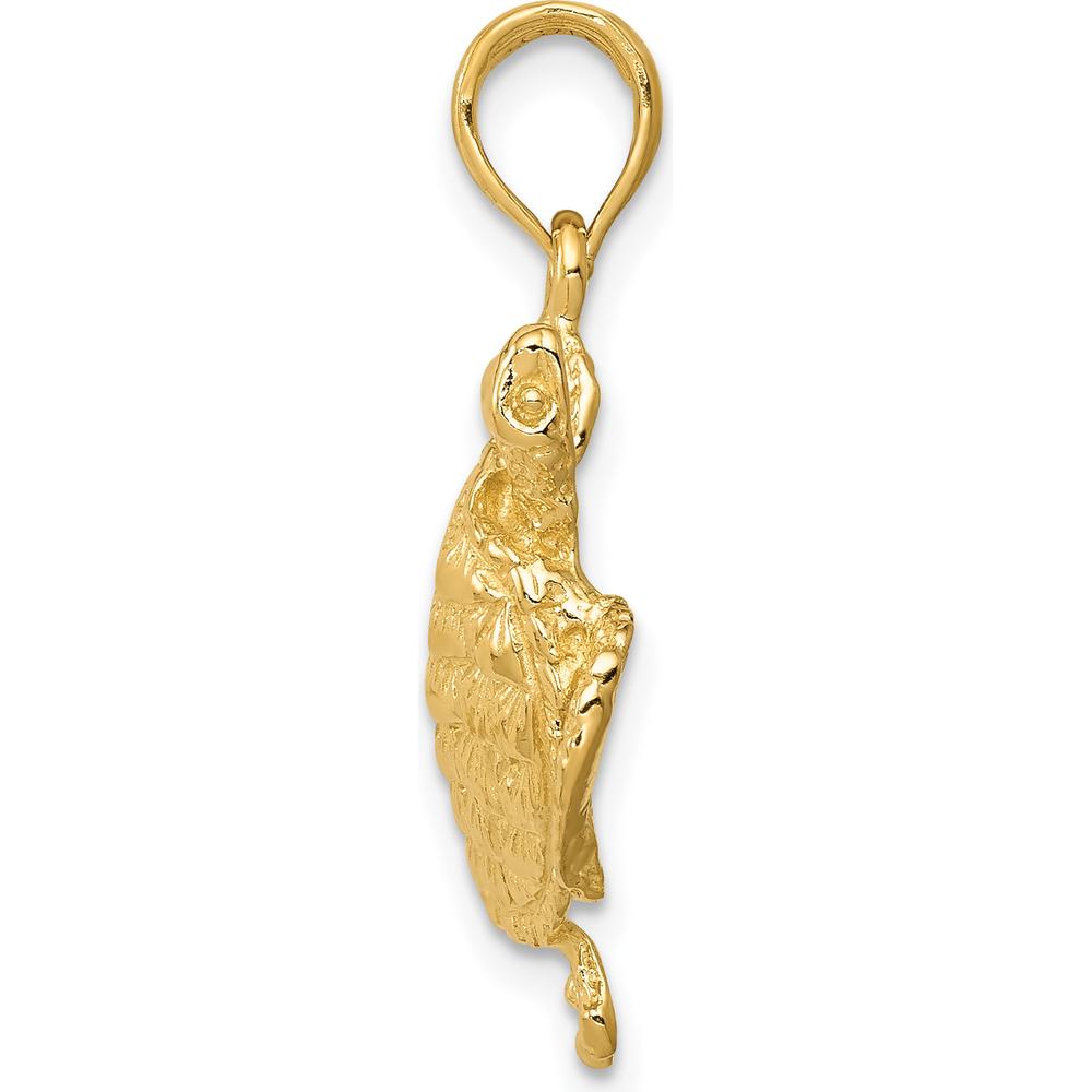 10K Yellow Gold Solid Polished Turtle Pendant with Textured Shell Design - 27mm Length