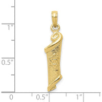 10K Yellow Gold Torah with Star of David Pendant - 30mm Length