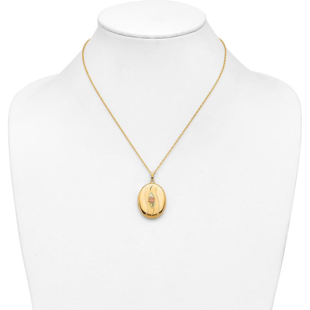 10K Yellow Gold with 12K Rose and Green Accents Locket Necklace with 14K Gold-filled Chain