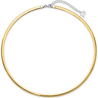 14K Two-Tone 4mm Lightweight Reversible Omega Necklace with 2" Heart Chain Extender by 0
