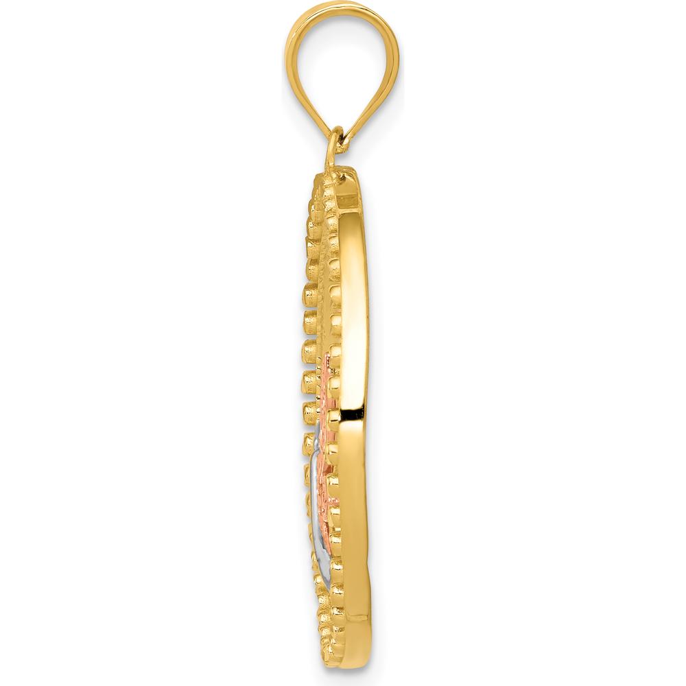 14K Two-Tone Gold Dragonfly in Circle Pendant with Rhodium Accents - 31mm Length by Oro Pregiato