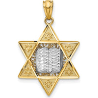14K Two-Tone Gold Star of David and Torah Pendant - 22mm x 17mm by Oro Pregiato