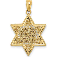 14K Two-Tone Gold Star of David and Torah Pendant - 22mm x 17mm by Oro Pregiato