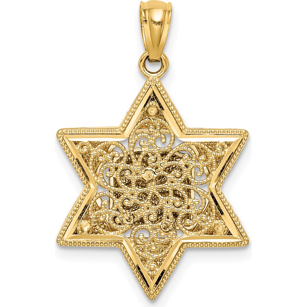 14K Two-Tone Gold Star of David and Torah Pendant - 22mm x 17mm by Oro Pregiato