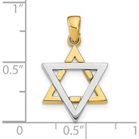 14K Two-Tone Gold Star of David Pendant Charm - 21.5mm by Oro Pregiato
