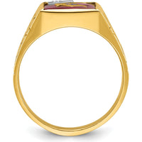 14K Two-Tone Men's Polished and Textured Ring with Lab Created Ruby and Diamond - 0.015 Carats Total Diamond Weight by IBGoodman