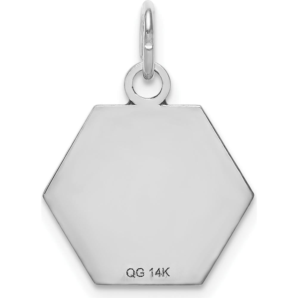 14K White Gold 15mm Hexagon Red Enameled Medical Alert Pendant - Polished Finish by Oro Pregiato
