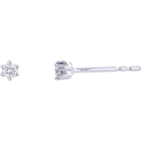 14K White Gold Diamond Stud Earrings with Six-Prong Set Round Diamonds - 0.05 Carat Total Diamond Weight