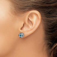 14K White Gold Fancy White and Blue Diamond Post Earrings - 0.065 Carat Total Blue Diamond Weight, 0.0113 Carat Total White Diamond Weight by Monteluci Fine Jewelry