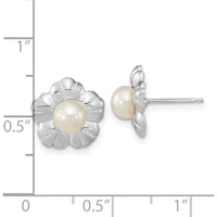 14K White Gold Freshwater Button Pearl Flower Post Earrings - 5-6mm Cultured Pearls by Monteluci Fine Jewelry