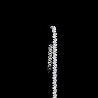 14K White Gold Pear Shape Tennis Bracelet with North-South Prong Set Lab Diamonds - 10.52 Carat Total Weight - Covaloro Fine Jewelry