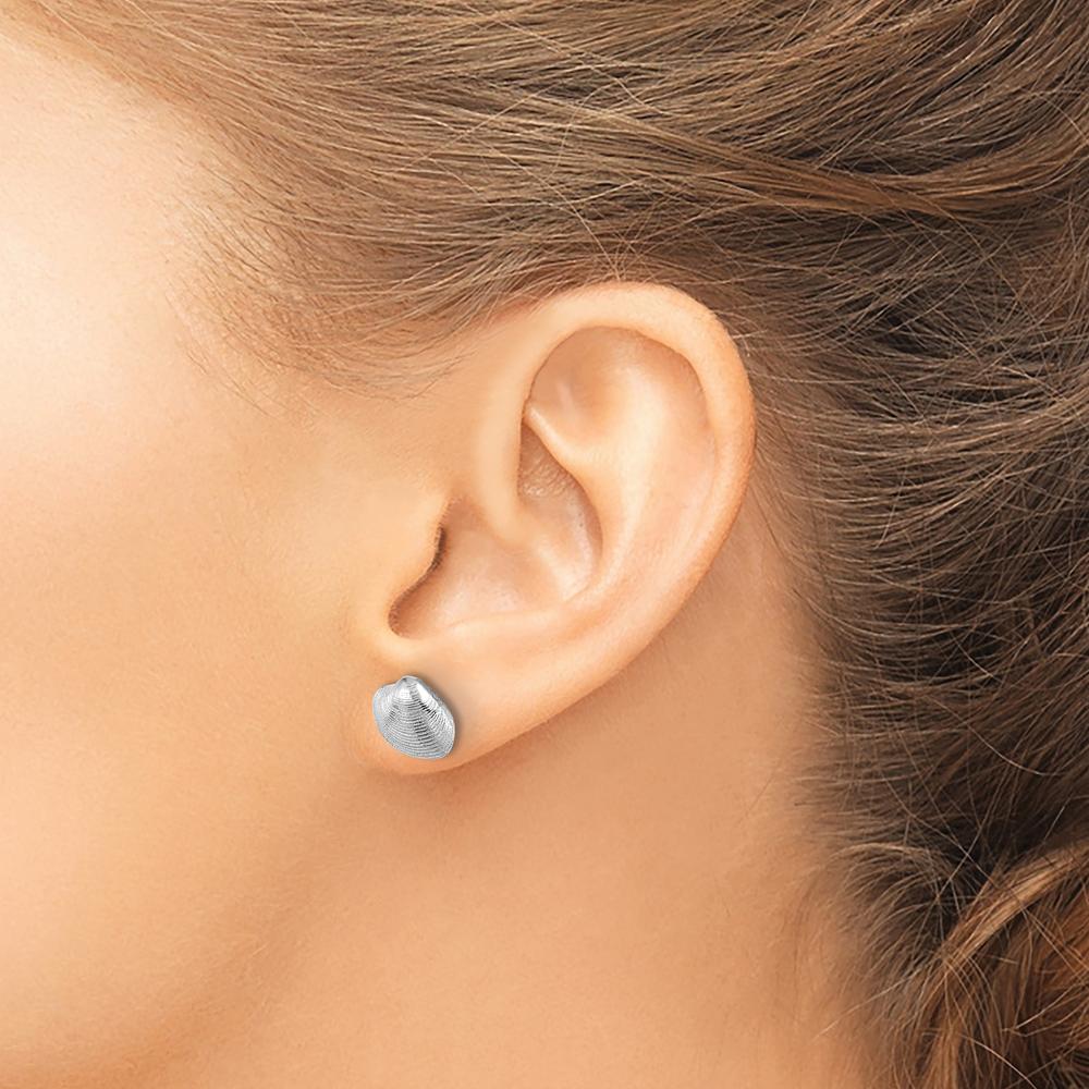 14K White Gold Polished Clam Shell Button Post Earrings by 0