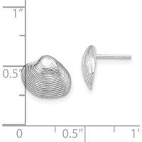 14K White Gold Polished Clam Shell Button Post Earrings by 0