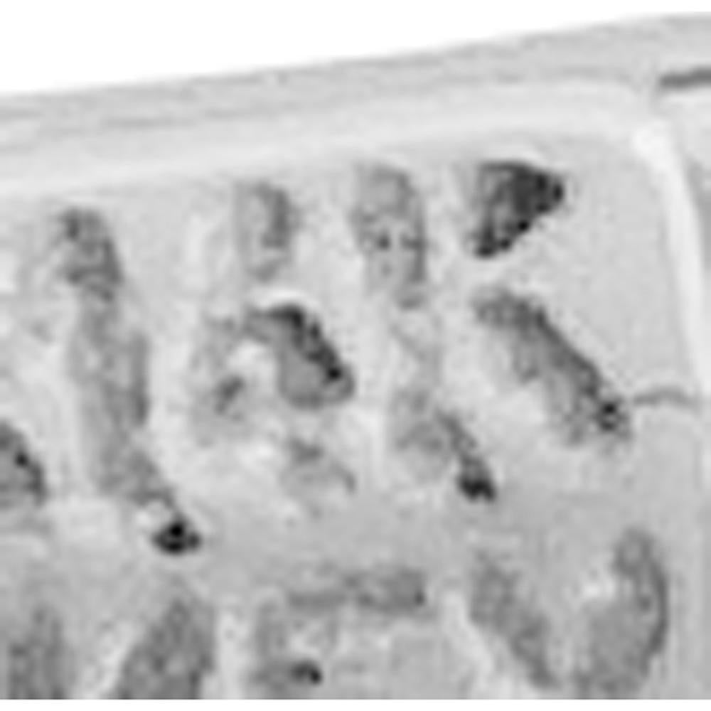 14K White Gold Polished Grooved Slip-on Bangle Bracelet by Oro Pregiato