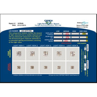 14K White Gold Princess Cut Leo Diamond Engagement Ring - 0.83 Carats Total Diamond Weight