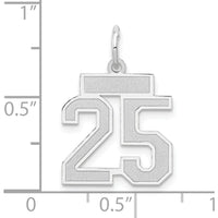 14K White Gold Small Satin Number 25 Charm with Rhodium Plating by Oro Pregiato