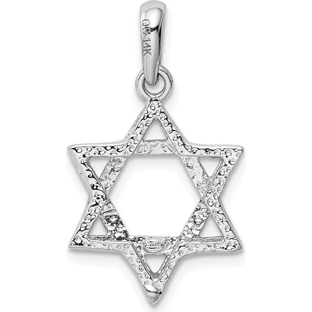 14K White Gold Star of David Pendant with Rhodium Plating - 24mm x 15mm by Oro Pregiato