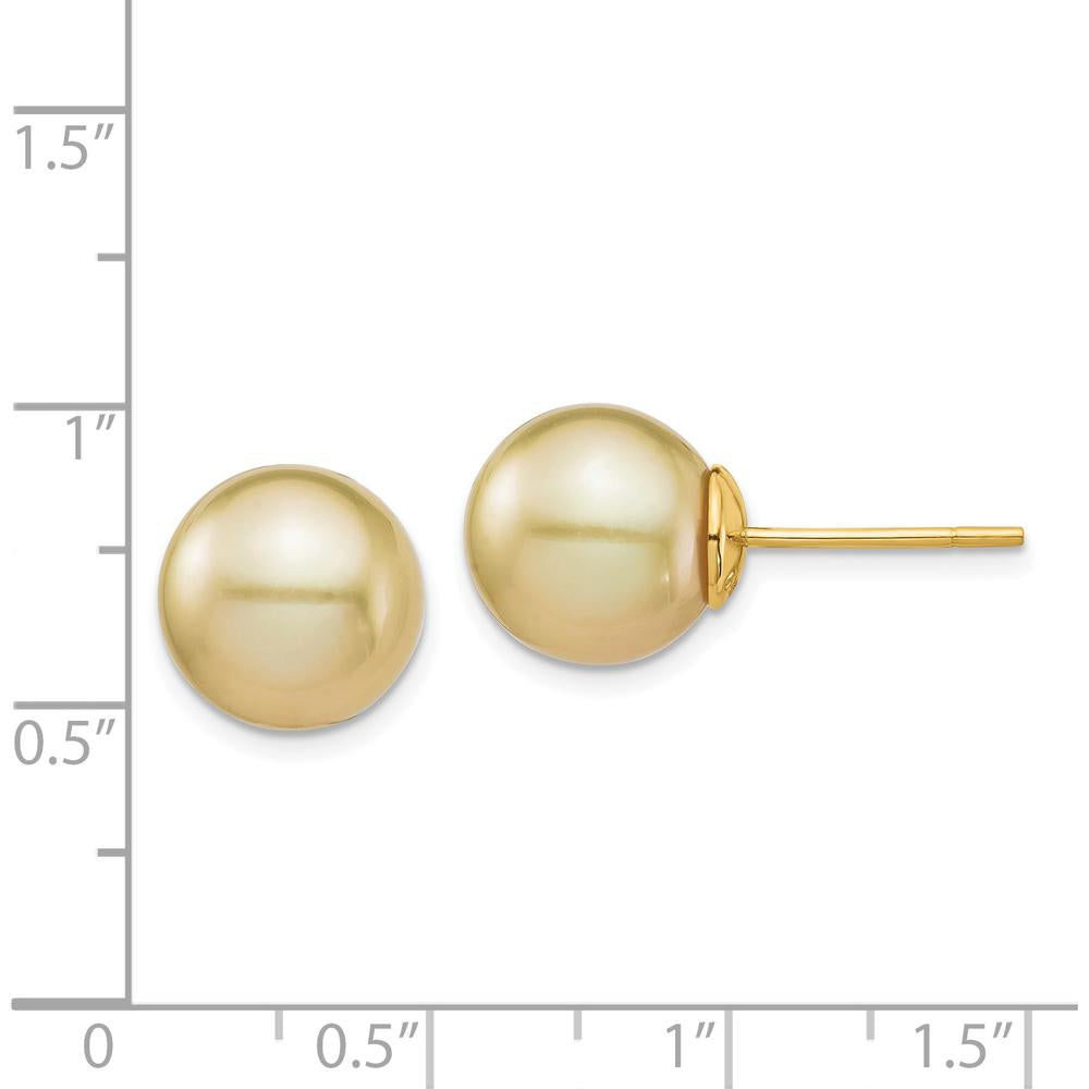 14K Yellow Gold 10-11mm Round Golden South Sea Cultured Pearl Post Earrings by Monteluci Fine Jewelry