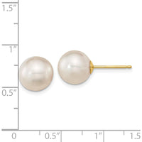 14K Yellow Gold 10-11mm White Round South Sea Saltwater Cultured Pearl Post Earrings by Monteluci Fine Jewelry