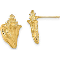 14K Yellow Gold 2D Conch Shell Post Earrings - Polished Finish by 0