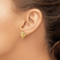 14K Yellow Gold 2D Conch Shell Post Earrings - Polished Finish by 0