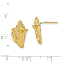 14K Yellow Gold 2D Conch Shell Post Earrings - Polished Finish by 0