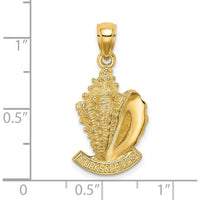 14K Yellow Gold 2D Turks and Caicos Conch Shell Pendant Charm with Textured Detailing by Oro Pregiato