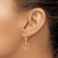 14K Yellow Gold 3D Dolphin Jumping Through Hoop Leverback Earrings by 0
