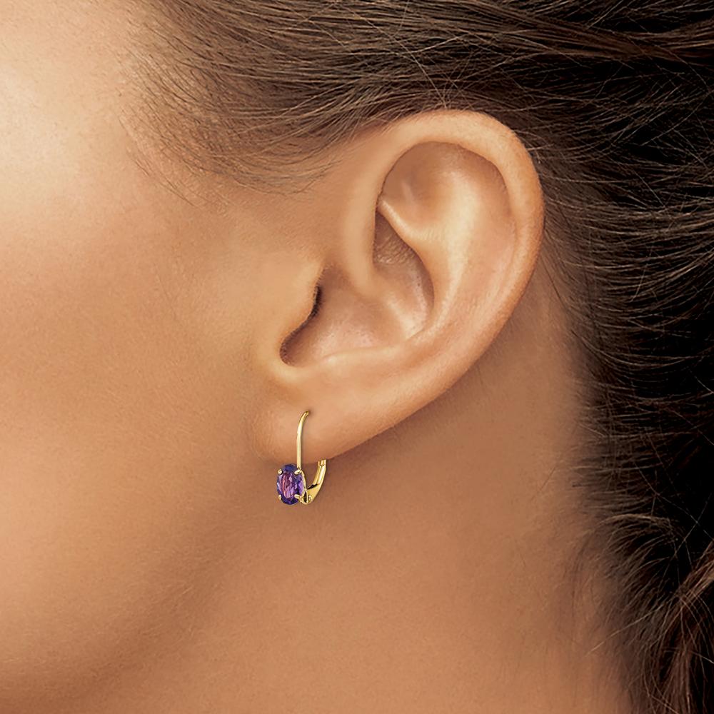 14K Yellow Gold 6x4mm Oval Amethyst Leverback Drop Earrings - 0.42 Carat Total Amethyst Weight by Monteluci Fine Jewelry