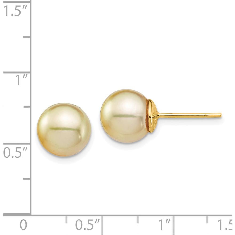 14K Yellow Gold 9-10mm Round Golden South Sea Cultured Pearl Post Earrings by Monteluci Fine Jewelry